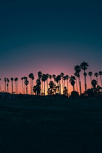 Good evening