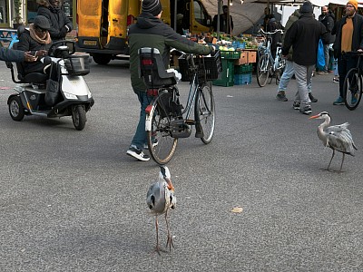 Street