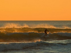 Surfing