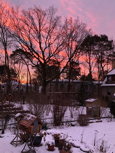 Glashaus
